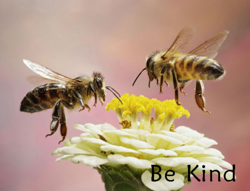 BE KIND